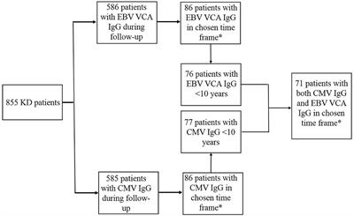 Lower CMV and EBV Exposure in Children With Kawasaki Disease Suggests an Under-Challenged Immune System